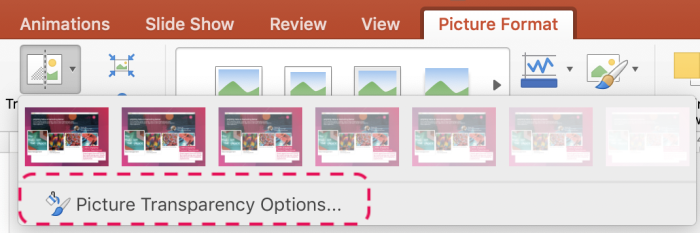 How to make a picture transparent in powerpoint | Paperflite | Customizing Transparency.png