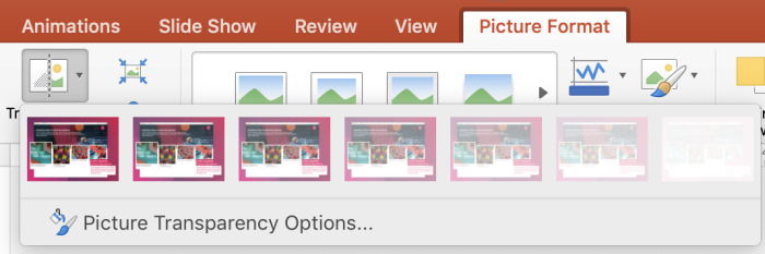 How to make a picture transparent in powerpoint | Paperflite | Selecting Pre-set Transparency Options
